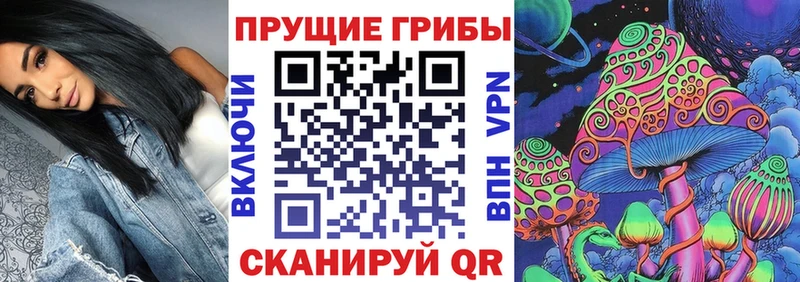Псилоцибиновые грибы прущие грибы блэк спрут ССЫЛКА Брюховецкая